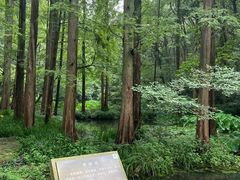 -虎跑公园