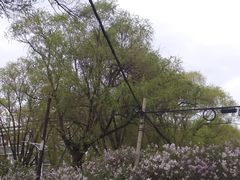 -吉林大学(南岭校区)