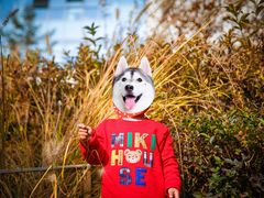 -中关村生命科学园