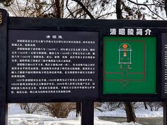-北陵公园
