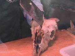 -洪记白水羊头(天坛店)