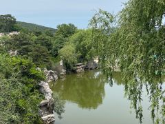 -北京西山国家森林公园