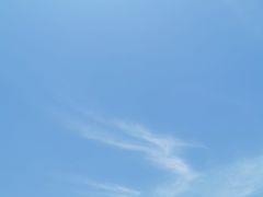 -衢州飞鸿滑草场