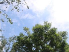 -白鹭湾湿地公园