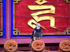 -大召寺明清一条街