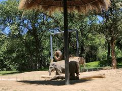 -北京野生动物园