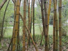 -荔香公园