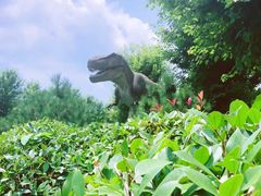 -南京枫彩漫城