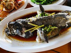 -蓝湾碧波·老字号·疍家非遗海上餐厅