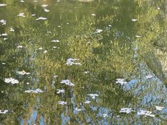 -春风习习