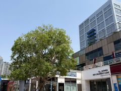 -证大大拇指广场(芳甸路店)