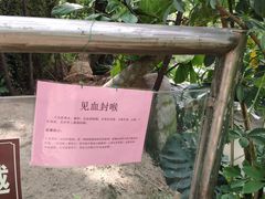 -南通洲际绿博园