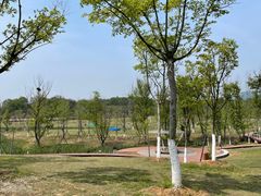 -佛手湖郊野公园