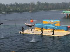 -秦皇岛乐岛海洋王国