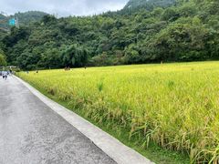 -贵阳市花溪国家城市湿地公园