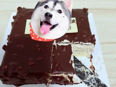 -派悦坊·甜品·蛋糕(日坛店)