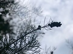 -福道
