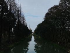 -上海长兴岛郊野公园