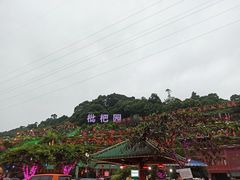 -枇杷园食为鲜火锅(南山店)