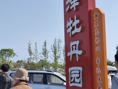 -曹州牡丹园