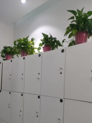 -芭迪高端儿童摄影(精选店)