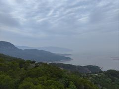 -花竹村