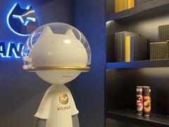 -梵猫·新养生(加州广场店)