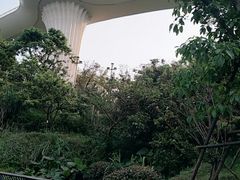 -飞凤山奥体公园