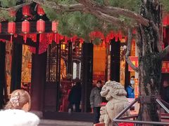 -秋霞圃