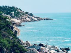 -广东惠东海龟国家级自然保护区