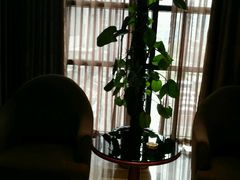 -锦龙国际酒店(天津奥体中心华苑地铁站店)