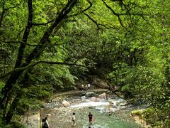 -西岭雪山大飞水景区