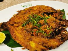 -美奈小馆·东南亚菜(福田星河COCO Park店)