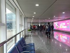 -张家界荷花国际机场
