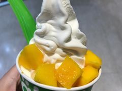 -Salud撒露欧洲冻酸奶(北苑上品店)