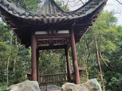 -深圳国际园林花卉博览园