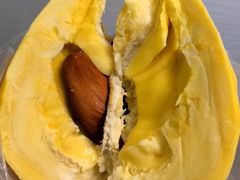 -都念榴莲·城市榴莲