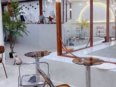 -共舞时光猫咖·狗咖(新街口店)