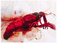 -猫姑娘大盘鸡(商城路店)