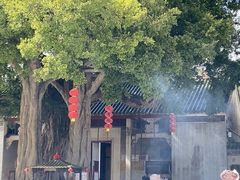 -悦城龙母祖庙