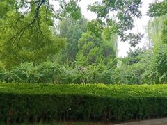 -元大都城垣遗址公园