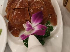 -九花山烤鸭店