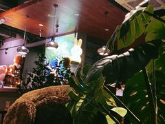 -咖法森林·咖啡  酒吧(天河店)