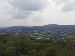 -大屏嶂森林公园