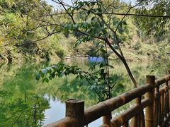 -沐川竹海旅游景区