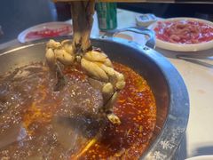 -蜀滋香鲜鱼美蛙火锅(339店)