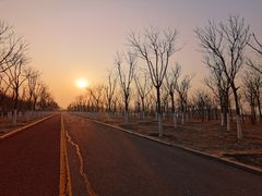-天津东丽湖风景区