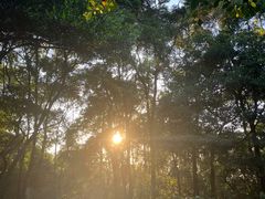 -广州市帽峰山景区