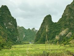 -明仕田园