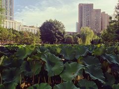 -沐仙湖湿地公园